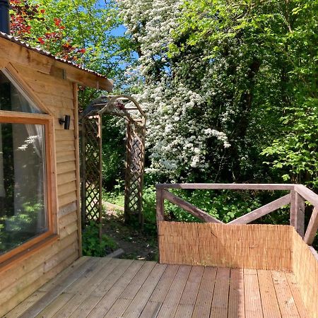 Honey Bee Cabin Llandysul Exteriör bild