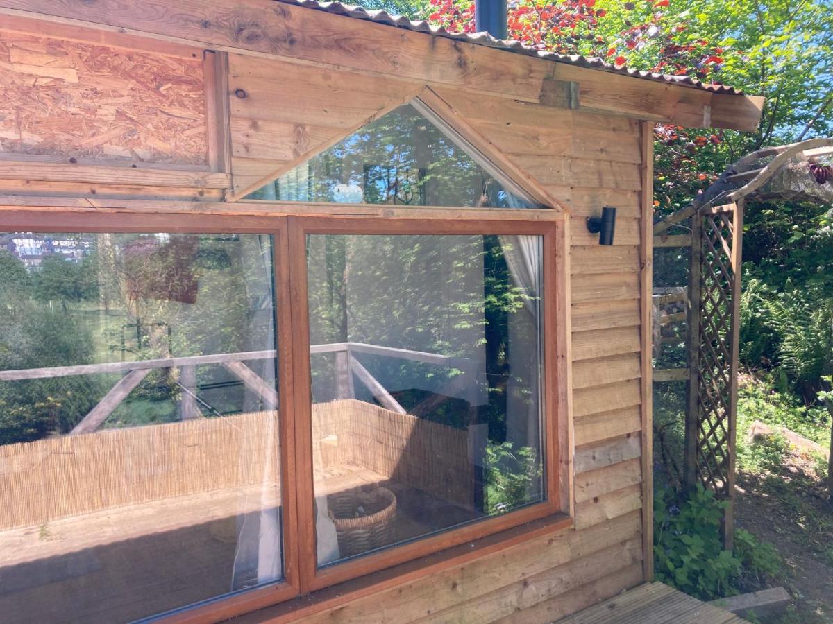 Honey Bee Cabin Llandysul Exteriör bild