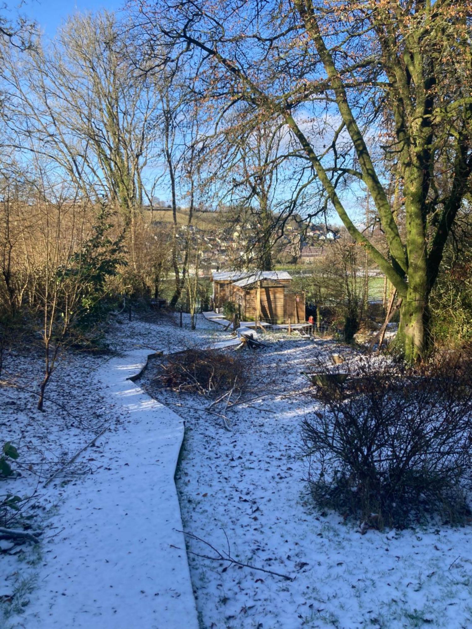Honey Bee Cabin Llandysul Exteriör bild